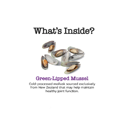 New Zealand Green Lipped Mussels for Dogs